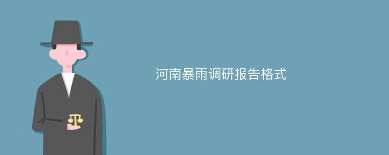 河南暴雨调研报告格式