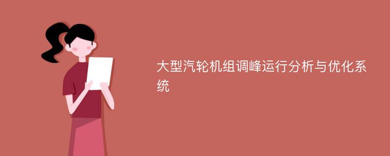 大型汽轮机组调峰运行分析与优化系统