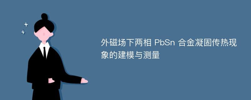 外磁场下两相 PbSn 合金凝固传热现象的建模与测量