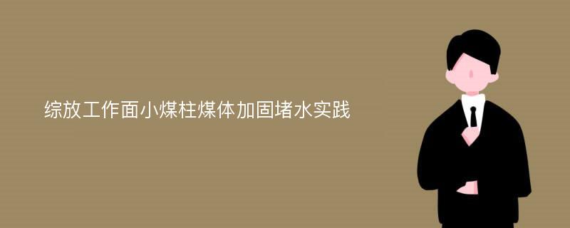 综放工作面小煤柱煤体加固堵水实践