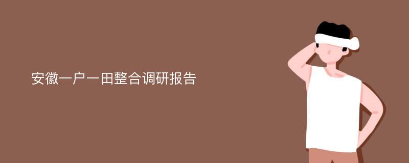 安徽一户一田整合调研报告