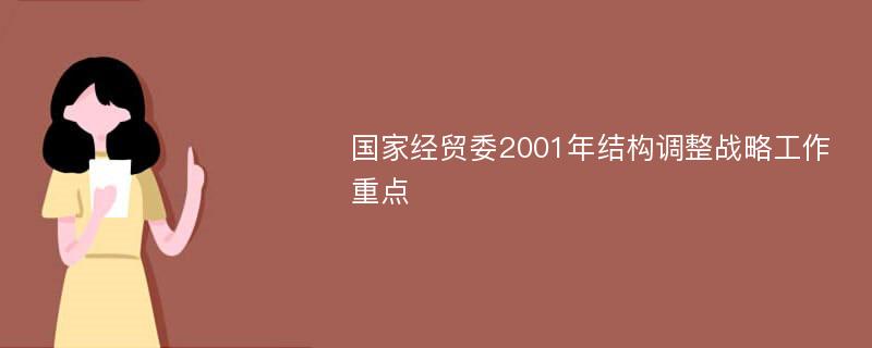 国家经贸委2001年结构调整战略工作重点