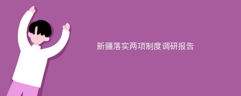 新疆落实两项制度调研报告