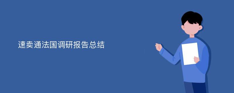 速卖通法国调研报告总结