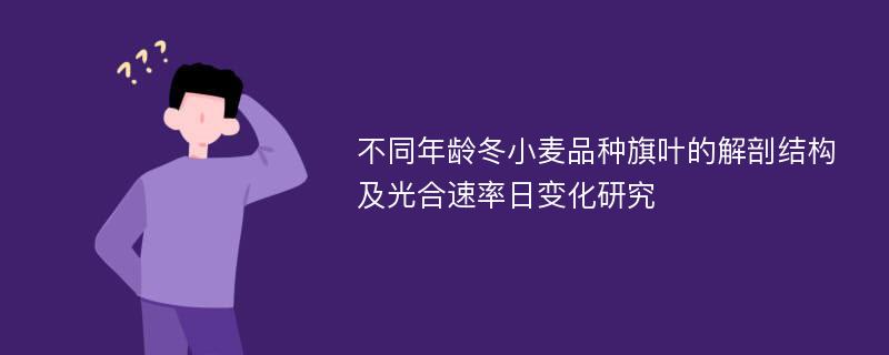 不同年龄冬小麦品种旗叶的解剖结构及光合速率日变化研究