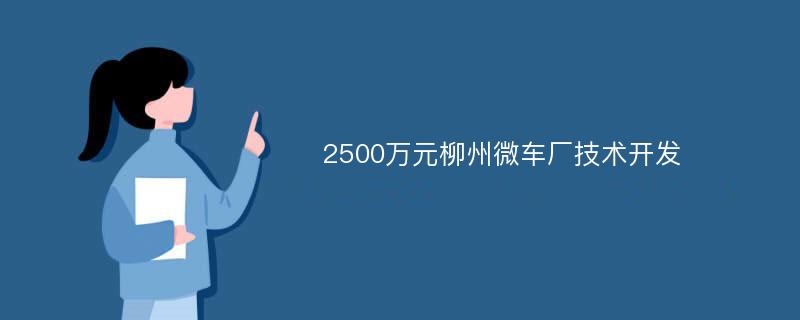 2500万元柳州微车厂技术开发