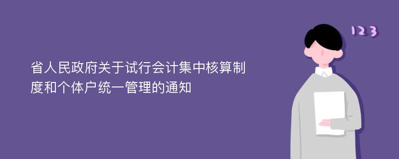 省人民政府关于试行会计集中核算制度和个体户统一管理的通知