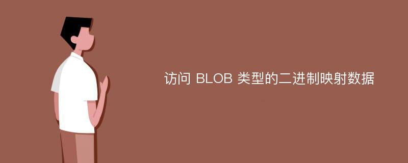 访问 BLOB 类型的二进制映射数据