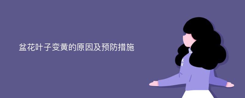 盆花叶子变黄的原因及预防措施