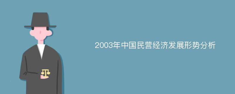 2003年中国民营经济发展形势分析