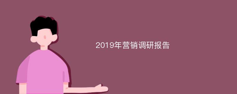 2019年营销调研报告