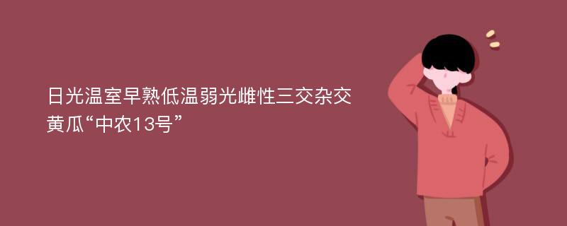 日光温室早熟低温弱光雌性三交杂交黄瓜“中农13号”