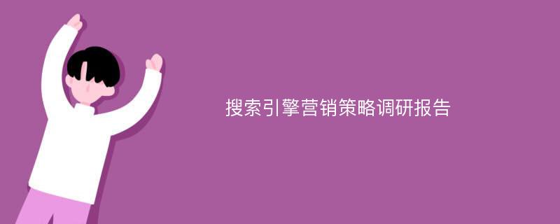 搜索引擎营销策略调研报告