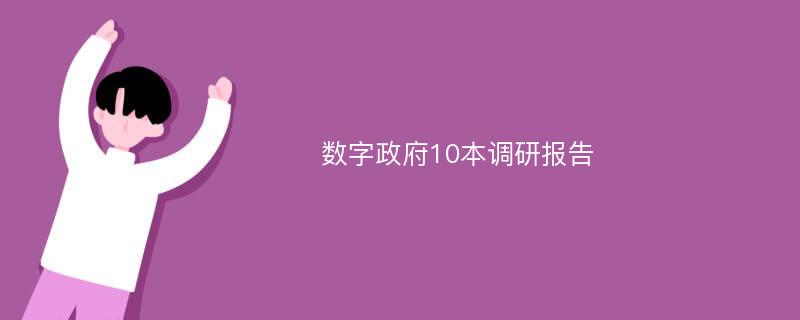 数字政府10本调研报告