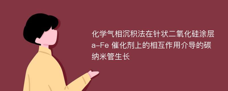 化学气相沉积法在针状二氧化硅涂层 a-Fe 催化剂上的相互作用介导的碳纳米管生长