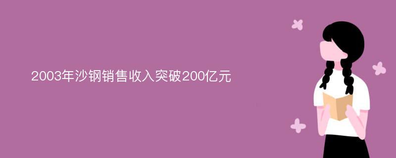 2003年沙钢销售收入突破200亿元